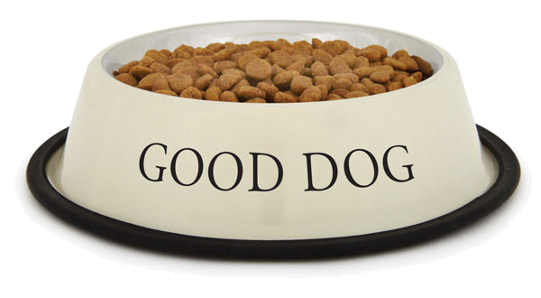 dog food